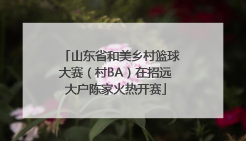 山东省和美乡村篮球大赛（村BA）在招远大户陈家火热开赛