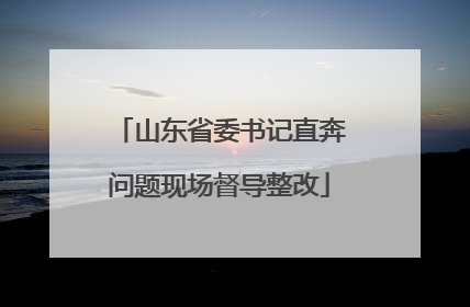 山东省委书记直奔问题现场督导整改
