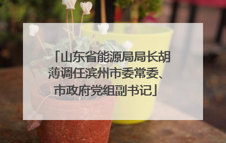 山东省能源局局长胡薄调任滨州市委常委、市政府党组副书记