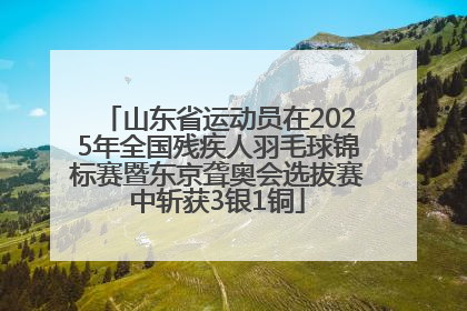 山东省运动员在2025年全国残疾人羽毛球锦标赛暨东京聋奥会选拔赛中斩获3银1铜