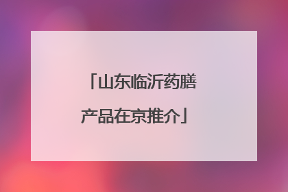 山东临沂药膳产品在京推介