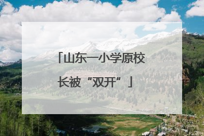 山东一小学原校长被“双开”