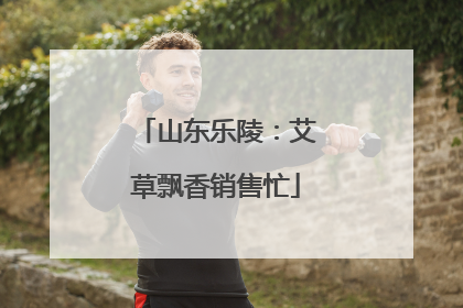 山东乐陵：艾草飘香销售忙
