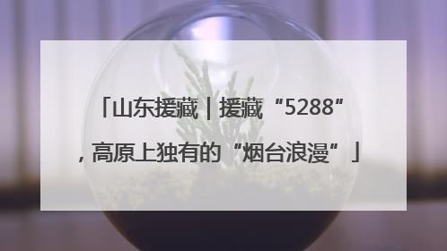 山东援藏｜援藏“5288”，高原上独有的“烟台浪漫”