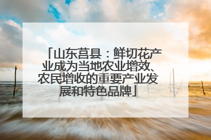 山东莒县：鲜切花产业成为当地农业增效、农民增收的重要产业发展和特色品牌