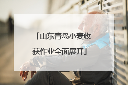 山东青岛小麦收获作业全面展开