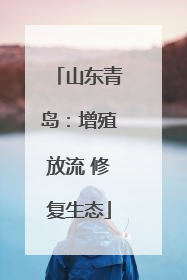 山东青岛：增殖放流 修复生态
