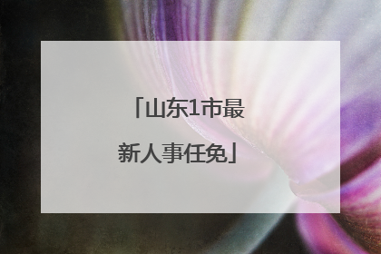 山东1市最新人事任免