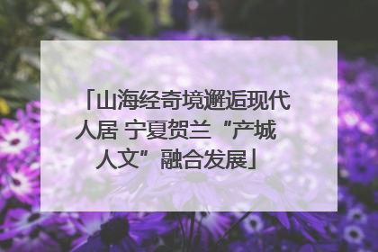 山海经奇境邂逅现代人居 宁夏贺兰“产城人文”融合发展