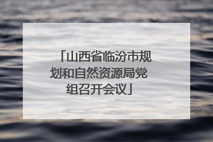 山西省临汾市规划和自然资源局党组召开会议