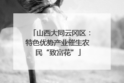 山西大同云冈区：特色优势产业催生农民“致富花”