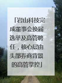 岩山科技完成董事会换届选举及高管聘任，核心层由头部券商背景的高管掌控