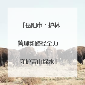 岳阳市：护林管理新路径全力守护青山绿水