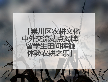 崇川区农耕文化中外交流站点揭牌 留学生田间挥镰体验农耕之乐