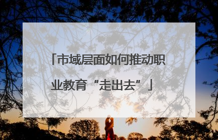 市域层面如何推动职业教育“走出去”