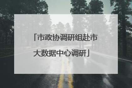 市政协调研组赴市大数据中心调研