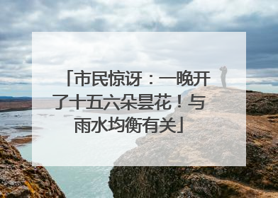 市民惊讶：一晚开了十五六朵昙花！与雨水均衡有关