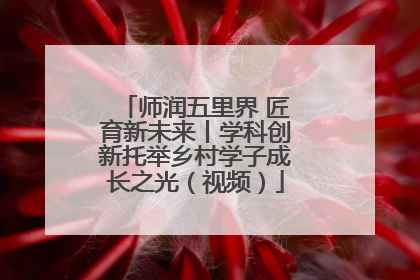 师润五里界 匠育新未来丨学科创新托举乡村学子成长之光（视频）