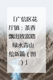 广信区花厅镇：茶香飘出致富路 绿水青山绘新篇（图）