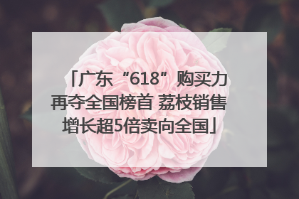 广东“618”购买力再夺全国榜首 荔枝销售增长超5倍卖向全国