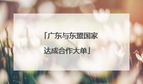 广东与东盟国家达成合作大单