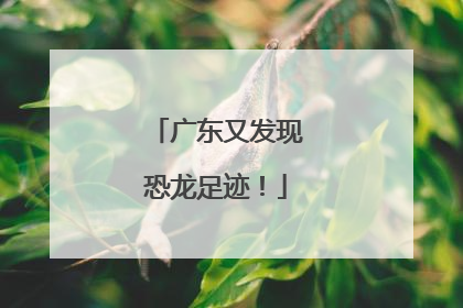 广东又发现恐龙足迹！