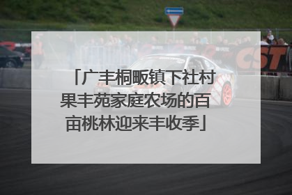 广丰桐畈镇下社村果丰苑家庭农场的百亩桃林迎来丰收季