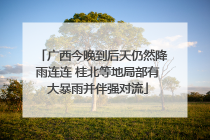 广西今晚到后天仍然降雨连连 桂北等地局部有大暴雨并伴强对流