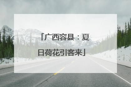 广西容县：夏日荷花引客来
