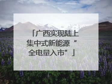 广西实现陆上集中式新能源“全电量入市”