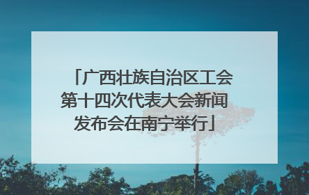 广西壮族自治区工会第十四次代表大会新闻发布会在南宁举行