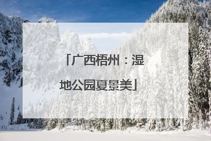 广西梧州：湿地公园夏景美