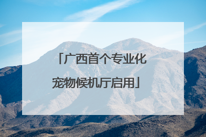 广西首个专业化宠物候机厅启用