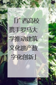 广西高校携手罗马大学推动建筑文化遗产数字化创新