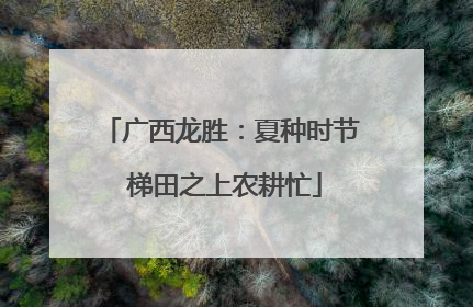 广西龙胜：夏种时节 梯田之上农耕忙