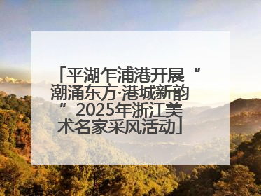 平湖乍浦港开展“潮涌东方·港城新韵”2025年浙江美术名家采风活动