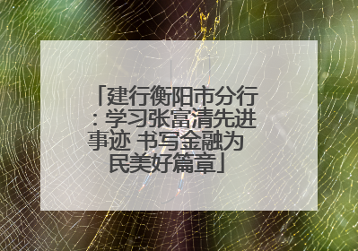 建行衡阳市分行：学习张富清先进事迹 书写金融为民美好篇章