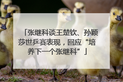 张继科谈王楚钦、孙颖莎世乒赛表现，回应“培养下一个张继科”