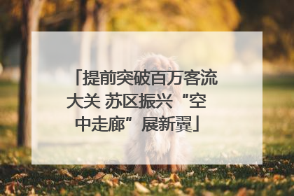 提前突破百万客流大关 苏区振兴“空中走廊”展新翼