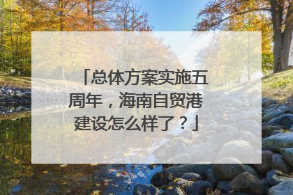 总体方案实施五周年，海南自贸港建设怎么样了？