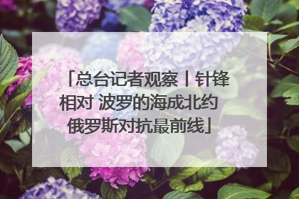 总台记者观察丨针锋相对 波罗的海成北约俄罗斯对抗最前线
