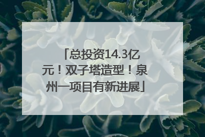 总投资14.3亿元！双子塔造型！泉州一项目有新进展