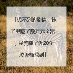 想不到的剧情，袜子里藏了数万元金器，民警翻了近20个垃圾桶找到