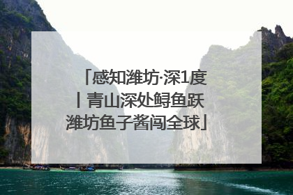 感知潍坊·深1度丨青山深处鲟鱼跃 潍坊鱼子酱闯全球