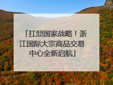 扛鼎国家战略！浙江国际大宗商品交易中心全新启航