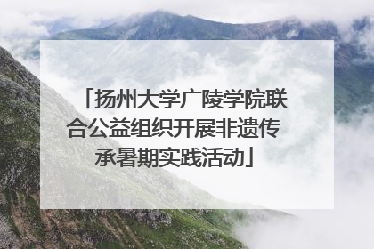 扬州大学广陵学院联合公益组织开展非遗传承暑期实践活动