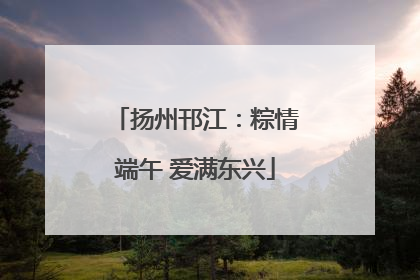 扬州邗江：粽情端午 爱满东兴