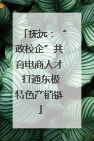 抚远：“政校企”共育电商人才 打通东极特色产销链
