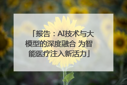 报告：AI技术与大模型的深度融合 为智能医疗注入新活力