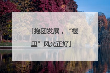 抱团发展，“楼里”风光正好